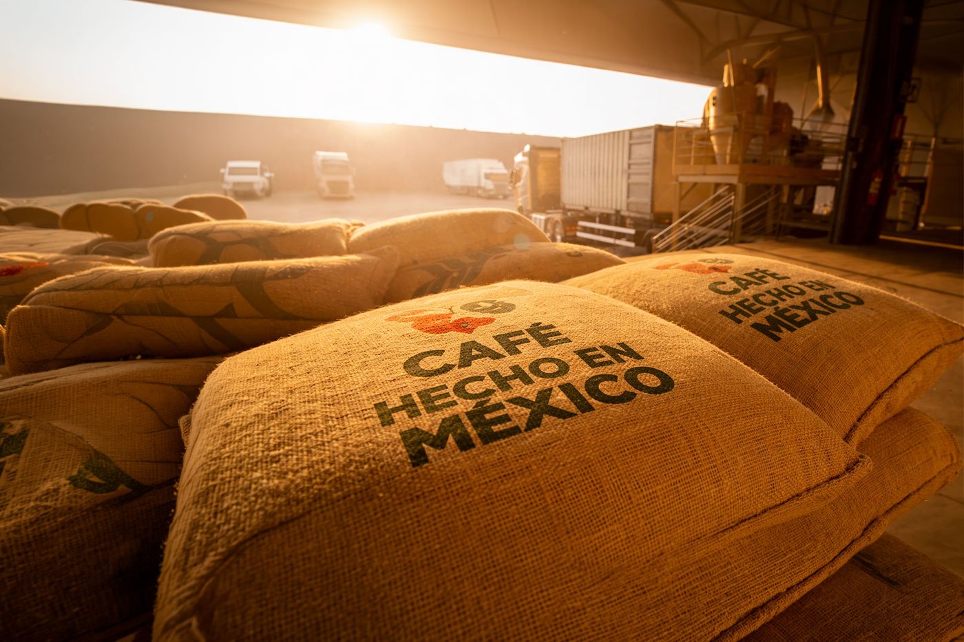 Importación y Exportación